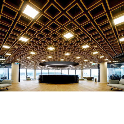 Irregular Artistic Ceiling Tiles White Ceiling Panels Installation Method Glue Or Nail Durable Decorative Ceiling Solutions