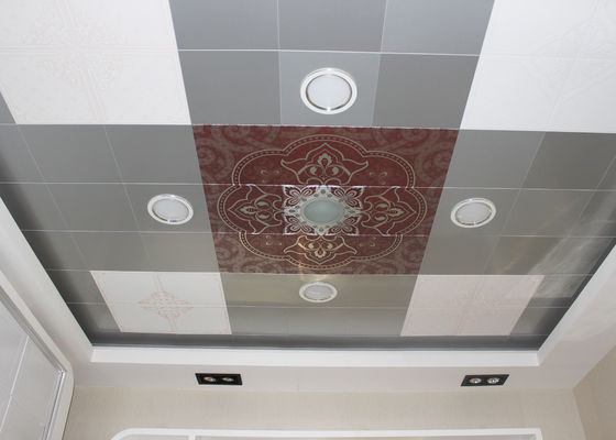Third dimension Artistic Ceiling , Residential ceiling tiles 350mm x 550mm