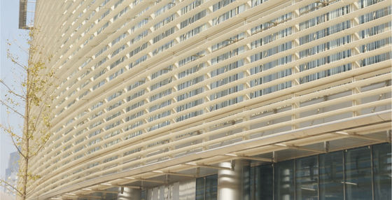 Customized Commercial Decorative Ceiling Tiles / Exterior Wall Decoration Panels