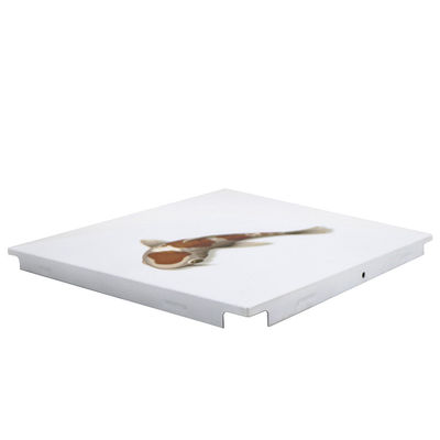 3D Modern Aluminum Artistic Ceiling Tiles With Fish Pattern Customized Size