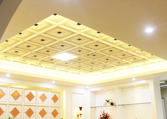 Clathrate Texture Artistic Ceiling Tiles , New Style Luxury Clip in Panel