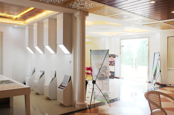 Clip in type Artistic Ceiling Tiles for Luxury Residential Decoration