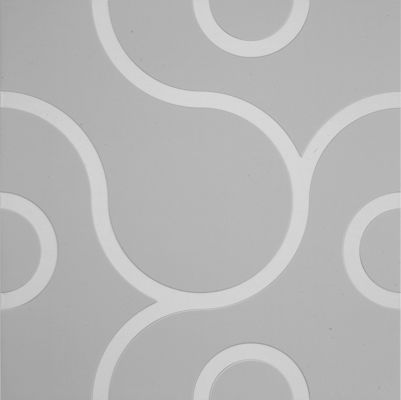 Embossing Decorative Drop Ceiling Tiles For Lounge Conference Room And Library