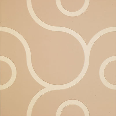 Embossing Decorative Drop Ceiling Tiles For Lounge Conference Room And Library