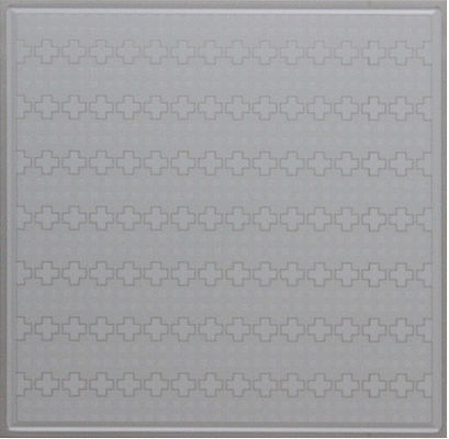 Wet Resistant Decorative Artistic Ceiling Tiles Drop For Kitchen And Washroom