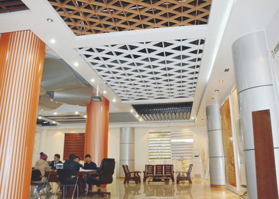 Curved Aluminum Wall Panel / Perforated Metal Ceiling Panels for building wall