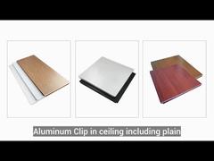 aluminum clip in ceiling